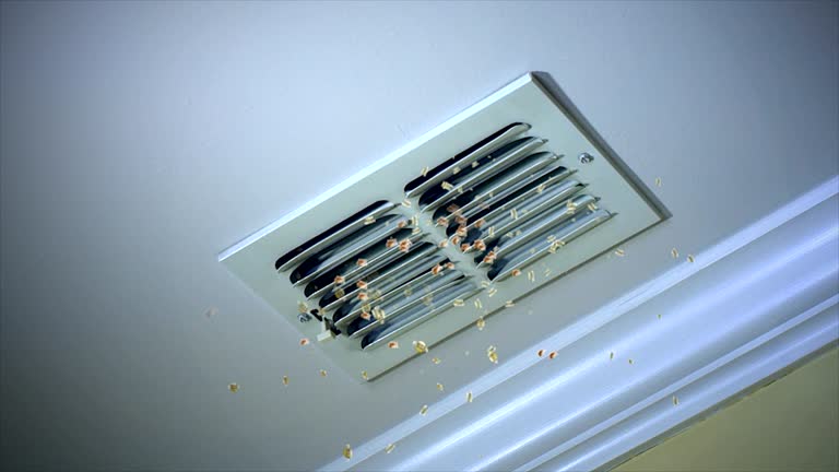 Reliable Ellsworth, WI Airduct Cleaning Solutions