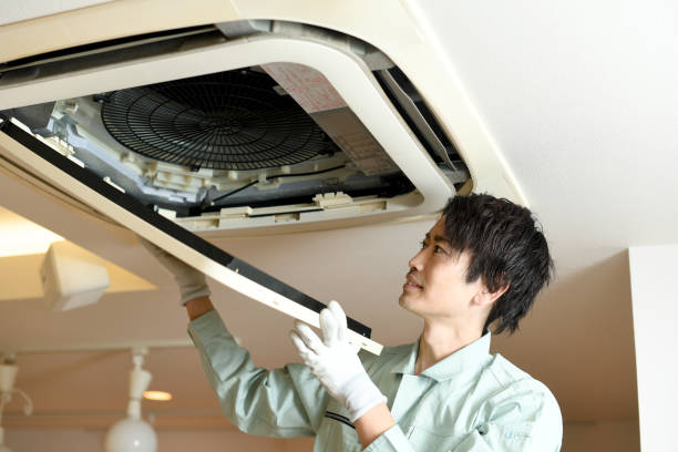 Air Duct Mold Removal in Ellsworth, WI