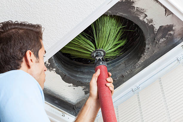Best Air Duct Mold Removal  in Ellsworth, WI